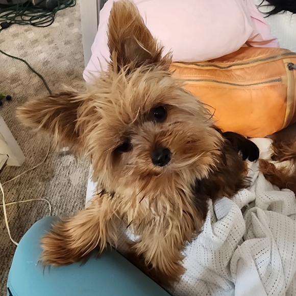 Priceless Package - Picture 10 of 12